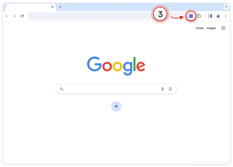 Click the pinned extension icon